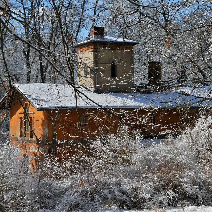 Glienicker Park im Winter
