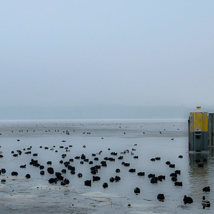 Jungfernsee am Bootsanleger Glienicker Brücke