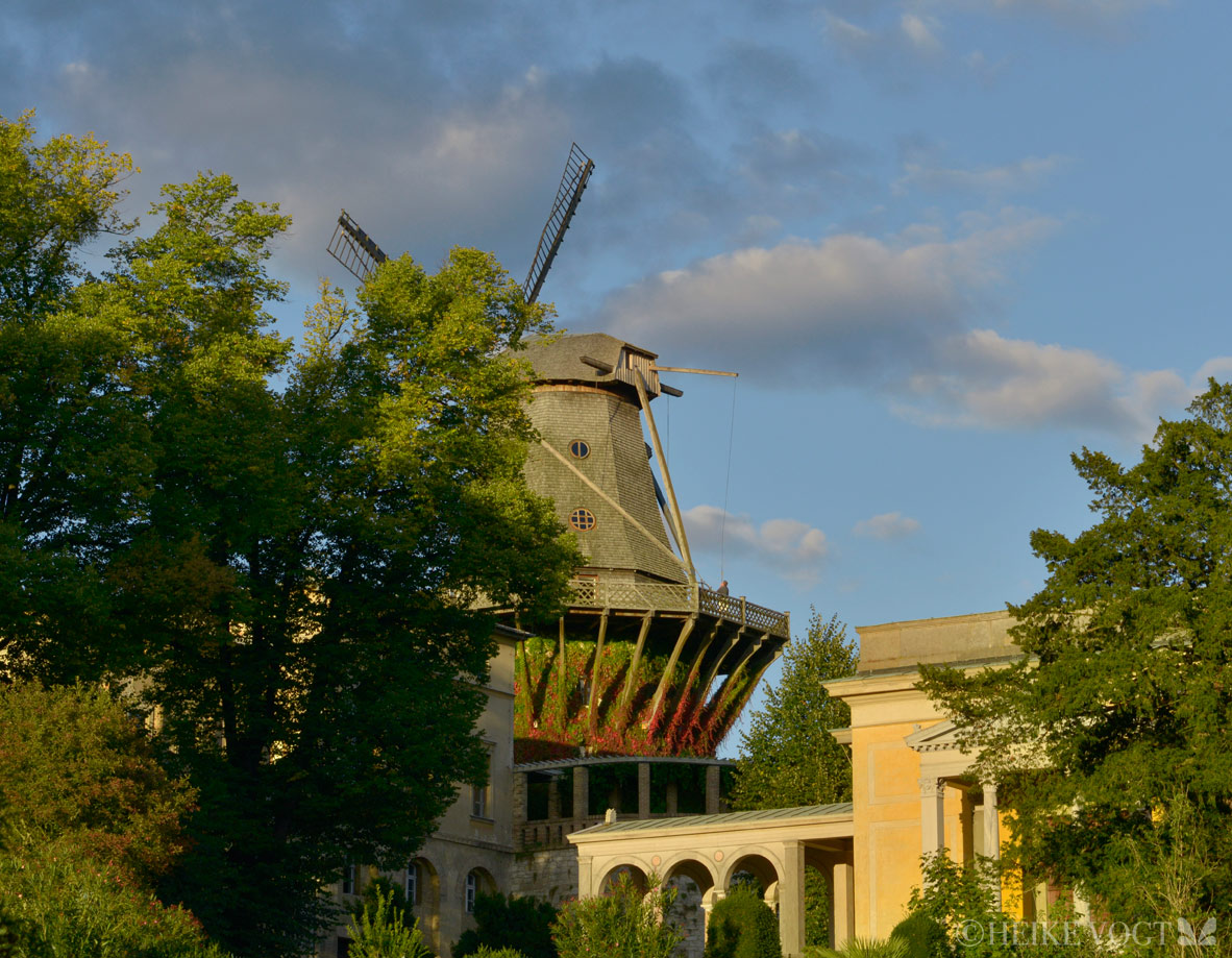 Historische Mühle im Park Sanssouci